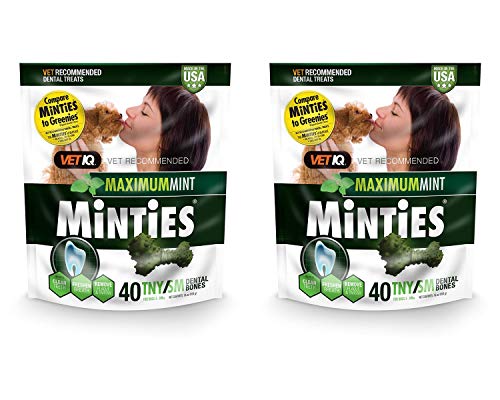 VetIQ Minties Dental Bones 40 Tiny/Small Treats For Dogs 5-39 pounds - 2 Pack von Minties