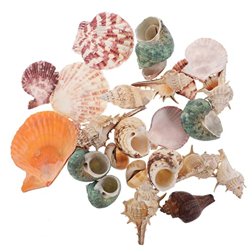 Mipcase Aquarium-Set 1 Packung Simulation Muscheln Aquarium- Stil Landschaft Zufälliger Stil Mipcase Aquarium-Set 1 Packung Simulation Muscheln Aquarium- Stil Landschaft Zufälliger Stil von Mipcase