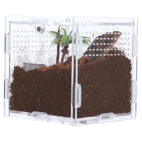 Mipcase Aufzuchtbox Aus Kunststoff Für Springspinnen Transparenter Käfig Für Spinnen Und Insekten Insektenzuchtbox Mit Belüftungslöchern Geeignet Für Kleine Tiere Und Insektenzucht Mipcase Aufzuchtbox Aus Kunststoff Für Springspinnen Transparenter Käfig Für Spinnen Und Insekten Insektenzuchtbox Mit Belüftungslöchern Geeignet Für Kleine Tiere Und Insektenzucht von Mipcase