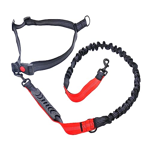 Mipcase 1 Stück Robuste Bungee-Leine Aus Seil Für Große Und Mittelgroße Hunde Reflektierende Hundeleine Für Das Training Sicherheits-zugseil Für Haustiere Roter Griff Schwarz Mipcase 1 Stück Robuste Bungee-Leine Aus Seil Für Große Und Mittelgroße Hunde Reflektierende Hundeleine Für Das Training Sicherheits-zugseil Für Haustiere Roter Griff Schwarz von Mipcase