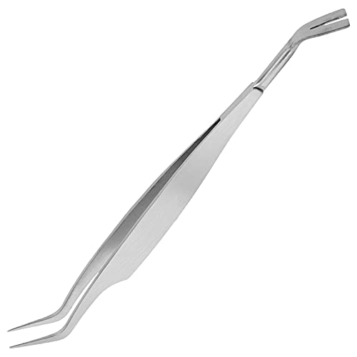 Mipcase 1stk Pinzette Flohclip Für Haustiere Werkzeug Zur Reinigung Von Katzenhaaren Läuseklammer Für Hund Werkzeug Zum Entfernen Von Flöhen Erdfarben Rostfreier Stahl Combo-Platte Mipcase 1stk Pinzette Flohclip Für Haustiere Werkzeug Zur Reinigung Von Katzenhaaren Läuseklammer Für Hund Werkzeug Zum Entfernen Von Flöhen Erdfarben Rostfreier Stahl Combo-Platte von Mipcase