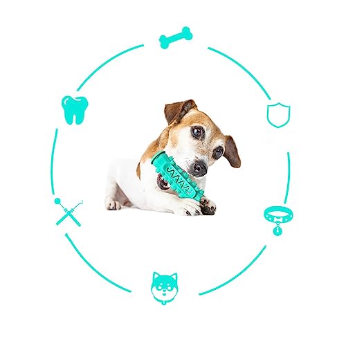 Mipcase Hund Molar Rod Pet Kauen Spielzeug Hund Zahnen Spielzeug Sicher Material Zähne Liefert See Mipcase Hund Molar Rod Pet Kauen Spielzeug Hund Zahnen Spielzeug Sicher Material Zähne Liefert See von Mipcase