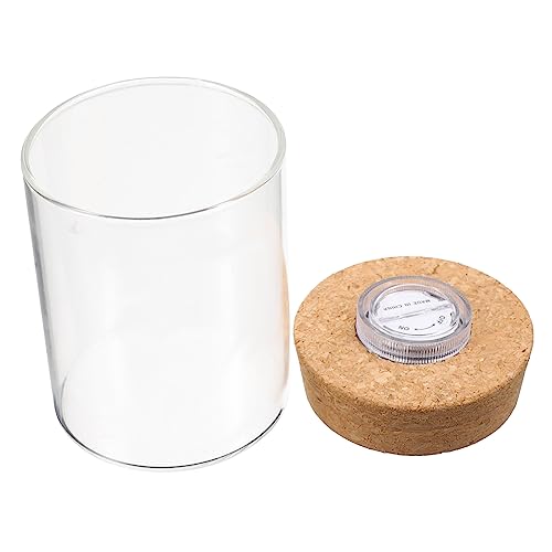 Mipcase Dekorative Glasvase Für Zuhause Mini-Aquarium Landschaftsflasche Zylindrische Borosilikatglas- -lichtabdeckung Mipcase Dekorative Glasvase Für Zuhause Mini-Aquarium Landschaftsflasche Zylindrische Borosilikatglas- -lichtabdeckung von Mipcase