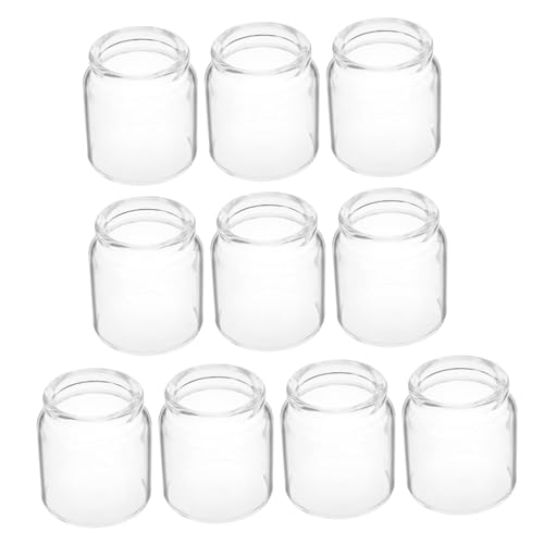 Mipcase 10 Stück Mini Glasflaschen Für Sukkulenten Pflanzenvasen Wissenschaftliche Glasröhren Glasröhren Für Wissenschaftliche Zwecke Sukkulentenstrauß Blumentopf Reagenzglas Vase von Mipcase