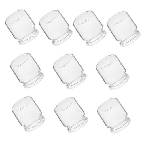 Mipcase 10 Stück Mini Glasflaschen Für Sukkulenten Vasen Terrarien Glasflaschen Glaspflanzen Terrarienbehälter Kreative Landschaftsflaschen Anzuchtfläschchen Mikrolandschaft Öko von Mipcase