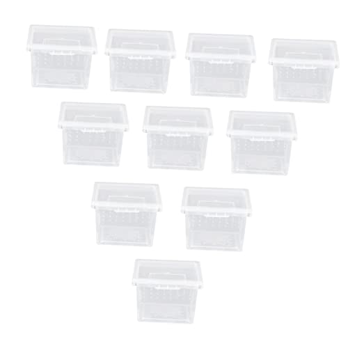 Mipcase 10 Stück Schachtel Futterbox Für Reptilien Reptivit Einsiedlerkrebs-Gecko-Becken Reptilienterrarium Sprungspinnengehege Schneckenhaus Tierpfleger Insekt Pp Muschelschale Mipcase 10 Stück Schachtel Futterbox Für Reptilien Reptivit Einsiedlerkrebs-Gecko-Becken Reptilienterrarium Sprungspinnengehege Schneckenhaus Tierpfleger Insekt Pp Muschelschale von Mipcase