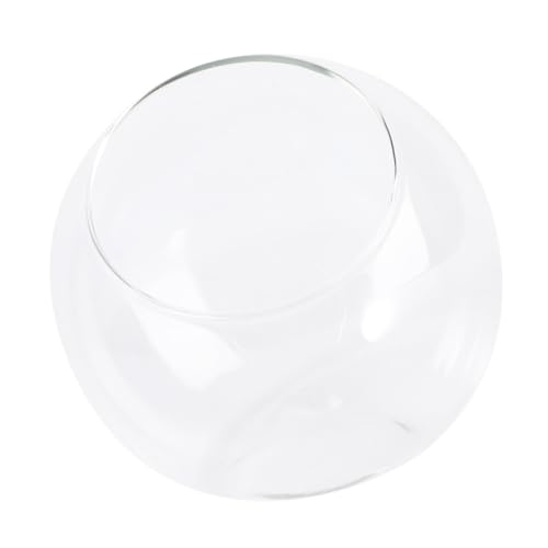 Mipcase 1Stück Mikrolandschaft Glasflasche Dekoratives Terrarium für Pflanzen DIY Mini Pflanzgefäß für Bürodekoration Hochwertiges Langlebiges für Kreative Mipcase 1Stück Mikrolandschaft Glasflasche Dekoratives Terrarium für Pflanzen DIY Mini Pflanzgefäß für Bürodekoration Hochwertiges Langlebiges für Kreative von Mipcase