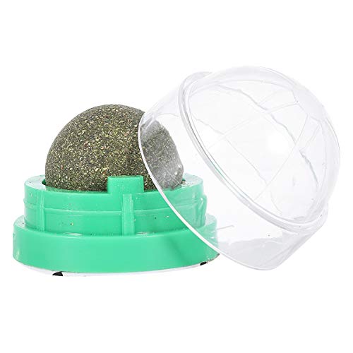 Mipcase 2 Snacks Leckbar Für Bälle Natürliche Wandfarbe Actinidia Boost Kätzchen Hilft Beim Lecken Gesund Bonbongrüne Zähne Drehbares Spielzeug Snack Leckereien Verdauung Kleine Polygama von Mipcase