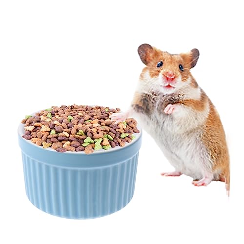 Mipcase 2st Hamsternapf Schalenhamster Hundenäpfe Aus Edelstahl Kleiner Katzennapf Hamsterschale Für Haustiere Futterspender Für Haustiere Futternapf Für Hamster Welpenschüssel Keramik Mipcase 2st Hamsternapf Schalenhamster Hundenäpfe Aus Edelstahl Kleiner Katzennapf Hamsterschale Für Haustiere Futterspender Für Haustiere Futternapf Für Hamster Welpenschüssel Keramik von Mipcase
