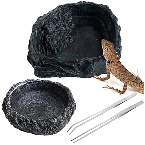 Mipcase 2 Stück Futter- Und Wassernäpfe Für Reptilien Harzmaterial Für Schildkröten Eidechsen Schlangen von Mipcase