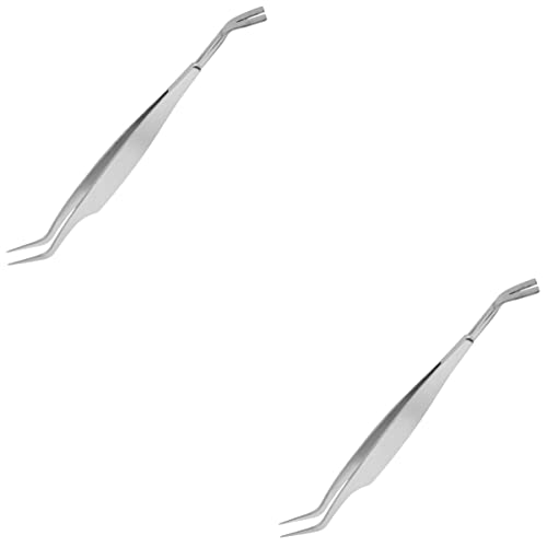 Mipcase 2 STK Pinzette Flohclip Für Haustiere Läuseklammer Für Haustier Heimtierbedarf Läuseklammer Für Hund Clip Zum Entfernen Von Floh Perlmutt Rostfreier Stahl Einstellen Mipcase 2 STK Pinzette Flohclip Für Haustiere Läuseklammer Für Haustier Heimtierbedarf Läuseklammer Für Hund Clip Zum Entfernen Von Floh Perlmutt Rostfreier Stahl Einstellen von Mipcase