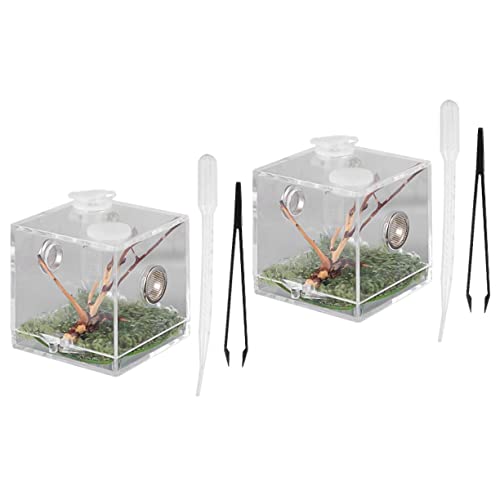 Mipcase 2 Stück Box Springspinne Zuchtbox Tier Haustier Mini Luftbefeuchter Eidechse Terrarium Gecko Lebensraum Acryl Terrarium Reptilien Terrarium Reptilienkäfig Reptilienversorgung von Mipcase