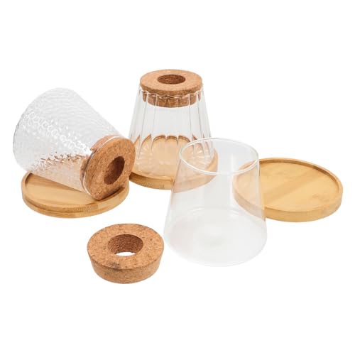 Mipcase 3 Sätze Hydro Ponische Pflanzen Flasche Terrarienpflanzer Zimmerpflanzenzubehör Vermehrungsgefäße Wasserpflanzer Für Innenräume Pflanzenvermehrungsvase Ausbreitung Kork Transparent Mipcase 3 Sätze Hydro Ponische Pflanzen Flasche Terrarienpflanzer Zimmerpflanzenzubehör Vermehrungsgefäße Wasserpflanzer Für Innenräume Pflanzenvermehrungsvase Ausbreitung Kork Transparent von Mipcase