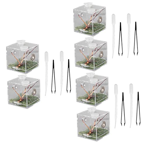 Mipcase 3 Sets Springspinnen-Aufzuchtbox Kunststoff-Insekten Kunststoffspinnen Glastiere Reptilien-Habitatkäfig Springspinnen-Habitat Reptilien-Futterbox Transparente Spinnenbox von Mipcase