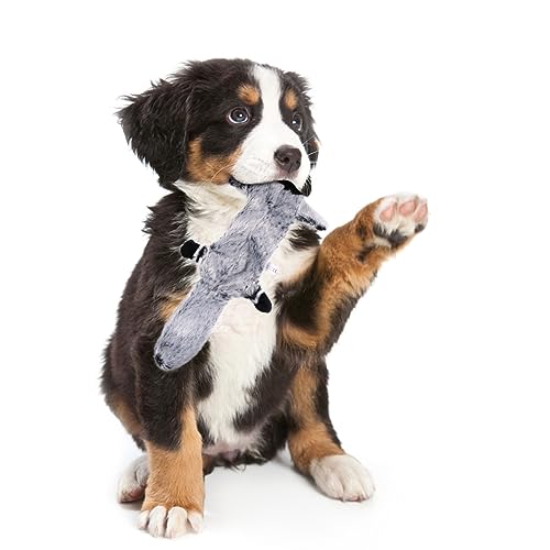 Mipcase 3st Plüschtiere Für Haustiere Spielzeug Für Kleinen Hund Beißspielzeug Plüschtiere Für Hunde Kratzspielzeug Für Katzen Spielzeug Reinigen Tierzähne Spielzeug Unzerstörbar Sauber Mipcase 3st Plüschtiere Für Haustiere Spielzeug Für Kleinen Hund Beißspielzeug Plüschtiere Für Hunde Kratzspielzeug Für Katzen Spielzeug Reinigen Tierzähne Spielzeug Unzerstörbar Sauber von Mipcase
