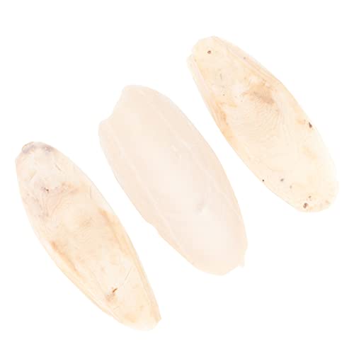 Mipcase 3 STK Spielzeug Für Sittiche Zubehör Für Sittichkäfige Nymphensittich Leckereien Kuschelknochen Für Vögel Cuttlebone Für Schildkröten Vogelkäfig Zubehör Xuanfeng Langen Mipcase 3 STK Spielzeug Für Sittiche Zubehör Für Sittichkäfige Nymphensittich Leckereien Kuschelknochen Für Vögel Cuttlebone Für Schildkröten Vogelkäfig Zubehör Xuanfeng Langen von Mipcase