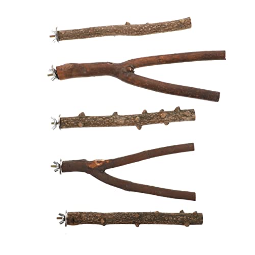 Mipcase 5 Stücke Fein Gefertigt Papagei Sticks Natürliche Sichuan Vogel Käfig Stehen Pet Training Spielzeug Ruhen Stange Vogel Spielzeug Mipcase 5 Stücke Fein Gefertigt Papagei Sticks Natürliche Sichuan Vogel Käfig Stehen Pet Training Spielzeug Ruhen Stange Vogel Spielzeug von Mipcase