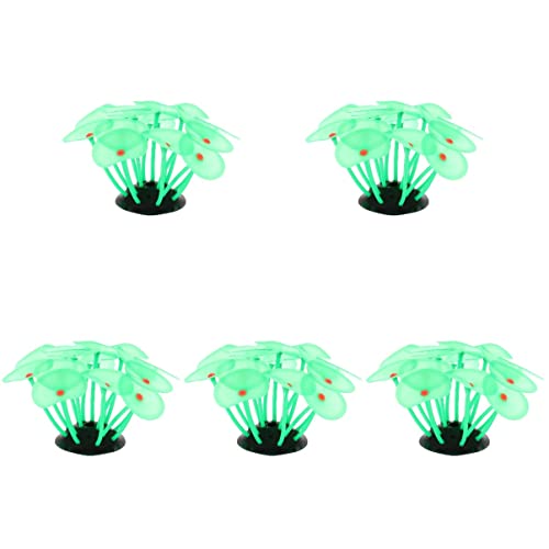 Mipcase 5-Teiliges Zubehörmodell Dunkel Dekorativ Leuchtend Wasserpflanze Grashaus in Effekt Pflanzen Schmuckdekor Grün für Zubehör Korallenbecken Mikrolandschaft Meerwassergarnelen von Mipcase