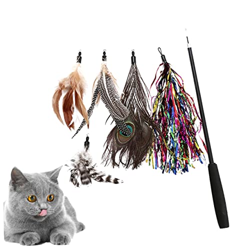 Mipcase 6 Stück 3 Katze Einziehbarer Stock Katze Mäuse Tiere Spielzeug Katzenspielzeug Zum Nachfüllen Interaktives Katzenspielzeug Interaktives Spielzeug Kätzchenspielzeug Pfau Katze Mipcase 6 Stück 3 Katze Einziehbarer Stock Katze Mäuse Tiere Spielzeug Katzenspielzeug Zum Nachfüllen Interaktives Katzenspielzeug Interaktives Spielzeug Kätzchenspielzeug Pfau Katze von Mipcase