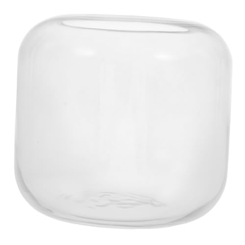 Mipcase Botanische Glasvase Terrarienflasche Pflanzenterrarium Mikro-landschaftsvase Sukkulenter Blumentopf Tischvase Hydroponischer Pflanzentopf Terrarienglas Aus Glas Transparent von Mipcase