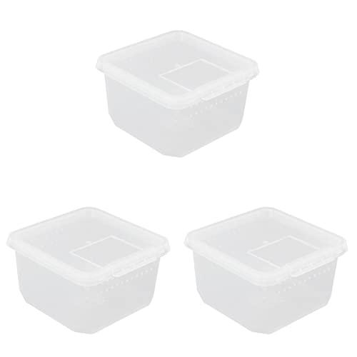 Mipcase -Box Futterbox Für Reptilien Futterbehälter Für Reptilien Insektennest Mini-reptilbehälter Reptilfall Reptilienzubehör Fütterungsbox Kriechen Pp Muschelschale von Mipcase