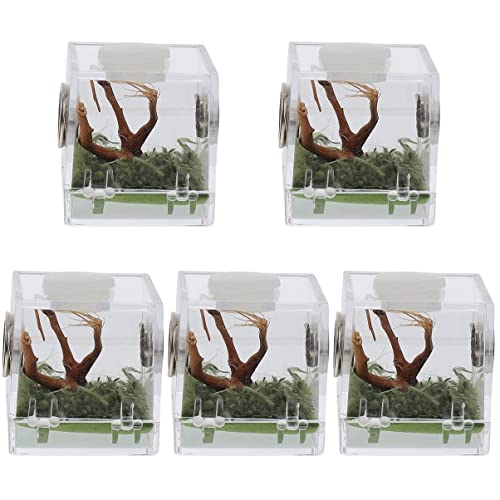Mipcase 5er-Box Springspinnen-zuchtbox Glasbehälter Für Terrarien Reptilien Terrarium Insektenlebensraum Fall Futterkasten Für Insekten Insektenbehälter Shell-Box Acryl Füttern von Mipcase