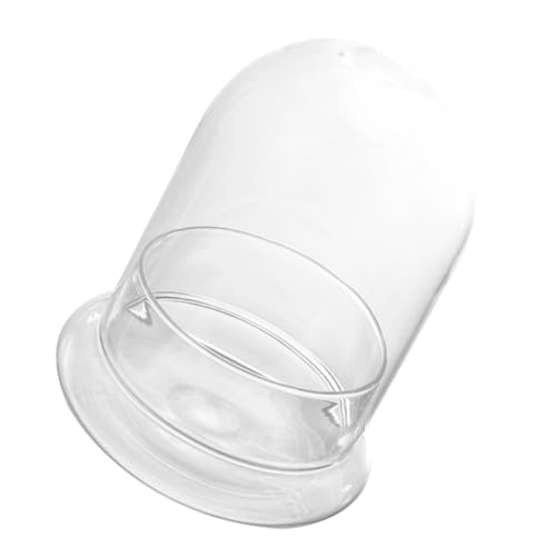 Mipcase Glasterrarium Klare Glasglocke Zur Pflanzen Und Moosausstellung Durchsichtiges Pflanzgefäß Mit Deckel Für Heimwerker Mipcase Glasterrarium Klare Glasglocke Zur Pflanzen Und Moosausstellung Durchsichtiges Pflanzgefäß Mit Deckel Für Heimwerker von Mipcase