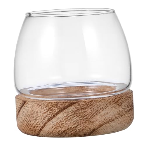 Mipcase Glasfischschale Vielseitiges Terrarium für Fische und Pflanzen Design Material für Wohnräume Holzsockel Mipcase Glasfischschale Vielseitiges Terrarium für Fische und Pflanzen Design Material für Wohnräume Holzsockel von Mipcase
