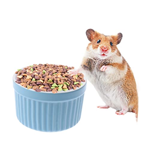 Mipcase Keramischer Futternapf Für Haustiere Runde Schüssel Für Hamster Und Meerschweinchen Und Langlebig Geeignet Für Trocken Und Nassfutter Blau Mipcase Keramischer Futternapf Für Haustiere Runde Schüssel Für Hamster Und Meerschweinchen Und Langlebig Geeignet Für Trocken Und Nassfutter Blau von Mipcase