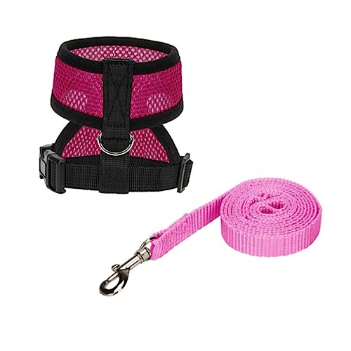Mipcase Weste Für Hühner Und Hähne Atmungsaktiv Für Haustiere Mit Leine Für Hähne Und Hähne Mipcase Weste Für Hühner Und Hähne Atmungsaktiv Für Haustiere Mit Leine Für Hähne Und Hähne von Mipcase