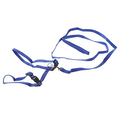 Mipcase Kaninchenleine Und Geschirr Kaninchengeschirr Kaninchenleine Führen Hasenleine Haustiergeschirr Mit Leine Nylonleine Katzenleine Frettchen Leine Katzengeschirr Igel Kätzchen Mipcase Kaninchenleine Und Geschirr Kaninchengeschirr Kaninchenleine Führen Hasenleine Haustiergeschirr Mit Leine Nylonleine Katzenleine Frettchen Leine Katzengeschirr Igel Kätzchen von Mipcase