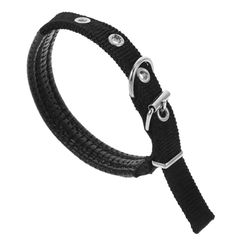 Mipcase Haustierhalsband für Haustier für Festival-Hundehalsband für für Hundewelpen Kätzchen Zubehör Schaum Black Mipcase Haustierhalsband für Haustier für Festival-Hundehalsband für für Hundewelpen Kätzchen Zubehör Schaum Black von Mipcase