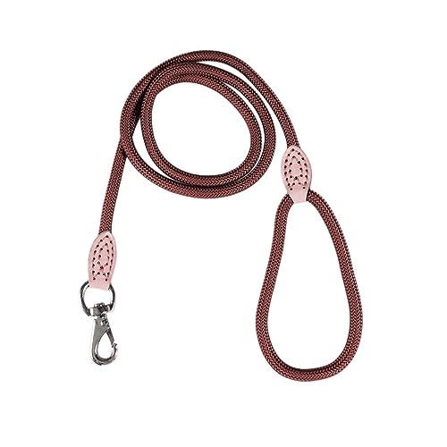 Mipcase Kletterleine Für Hunde 1 cm Breit 1 25 M Nylon-trainingsleine Mit Ledergriff Und Stabilem Metallverschluss Haustierleine Kaffee Mipcase Kletterleine Für Hunde 1 cm Breit 1 25 M Nylon-trainingsleine Mit Ledergriff Und Stabilem Metallverschluss Haustierleine Kaffee von Mipcase