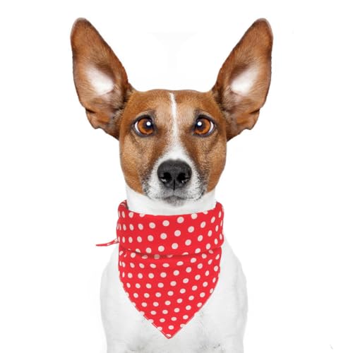 Mipcase Hundehalsband Und Lätzchen-Set Rund Rot Haustierbedarf Bequeme Passform Leicht Sauber Zu Halten Mipcase Hundehalsband Und Lätzchen-Set Rund Rot Haustierbedarf Bequeme Passform Leicht Sauber Zu Halten von Mipcase