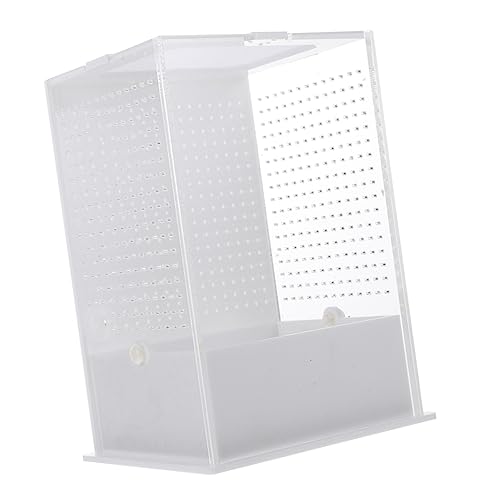 Mipcase Reptilien Fütterungsbox Transparentes Terrarium Für Insekten Und Reptilien Zuchtbox Mit Klarer Sicht Für Gottesanbeterinnen Eidechsen Und Mehr von Mipcase