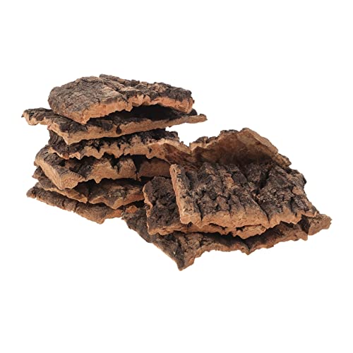 Mipcase Kletterschlange, Terrarium, Reptilien, Schildkröten, Eidechsenrinde, für Plattform, Baum, 10 Stück Mipcase Kletterschlange, Terrarium, Reptilien, Schildkröten, Eidechsenrinde, für Plattform, Baum, 10 Stück von Mipcase