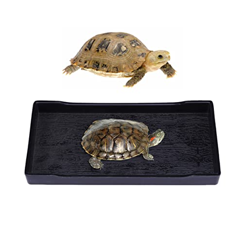 Mipcase Landschaft Gecko Schale Praktisch Reptilien Futter Zucht Schildkröte Leopard Schlangen Eidechse Groß Terraium Plat Liefert Zubehör – Pet Rock – Schale – Große Schopfbärte Mit von Mipcase