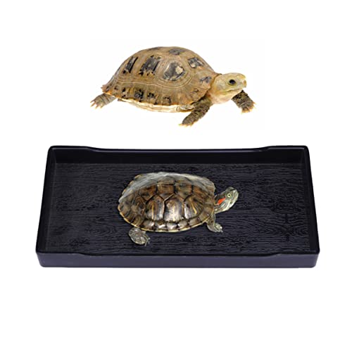 Mipcase Landschaft Gecko Schale Praktisch Reptilien Futter Zucht Schildkröte Leopard Schlangen Groß Terraium Plat Liefert Zubehör – – Schale – Große Schopfbärte Mit von Mipcase