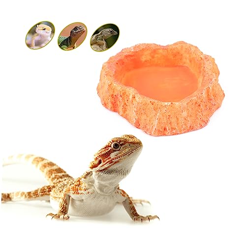 Mipcase Futternapf Für Reptilien Dicke Schüssel Skid-Design Futternapf Für Eidechsen Für Haustiere von Mipcase