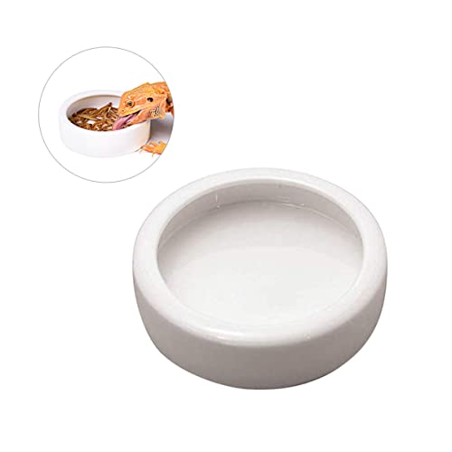 Mipcase Escape- Reptilienschale Garnelenschale Keramik-futterschale Für Haustiere Runde Schalen Für Fische Reptilien 9 5 X 9 5 X 3 cm von Mipcase