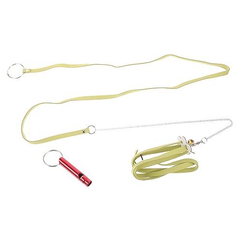 Mipcase Schildkrötenleine Gecko Aquarium Vogelleine Landschildkröten-Geschirr Schildkröten-Hundegeschirr Haustierbedarf Haustier-Schildkröten-Laufleine Edelstahlkette Light Green Mipcase Schildkrötenleine Gecko Aquarium Vogelleine Landschildkröten-Geschirr Schildkröten-Hundegeschirr Haustierbedarf Haustier-Schildkröten-Laufleine Edelstahlkette Light Green von Mipcase