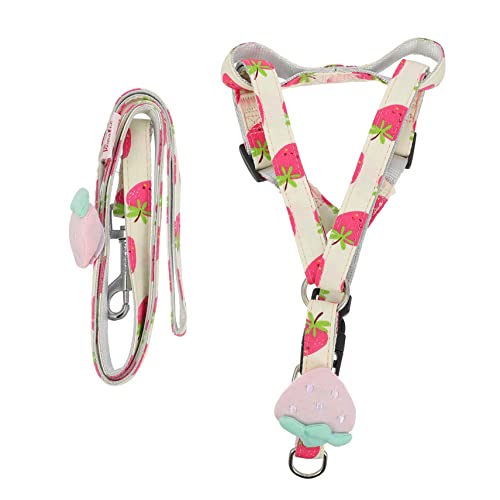 Mipcase Leinen Trainingsleine Für Haustiere Reflektierende Hundeketten Spielzeug Für Draußen Hundeleine Aus Nylon Katze Zu Fuß Seile Für Haustiere Polyester Führseil Reisen Drucken Mipcase Leinen Trainingsleine Für Haustiere Reflektierende Hundeketten Spielzeug Für Draußen Hundeleine Aus Nylon Katze Zu Fuß Seile Für Haustiere Polyester Führseil Reisen Drucken von Mipcase