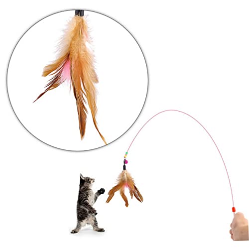 Mipcase Verspieltes Katzenspielzeug Für Kätzchen Draht-Teaser Mit Glöckchen Für Lustige Übungen Zufällige Farbe Mipcase Verspieltes Katzenspielzeug Für Kätzchen Draht-Teaser Mit Glöckchen Für Lustige Übungen Zufällige Farbe von Mipcase
