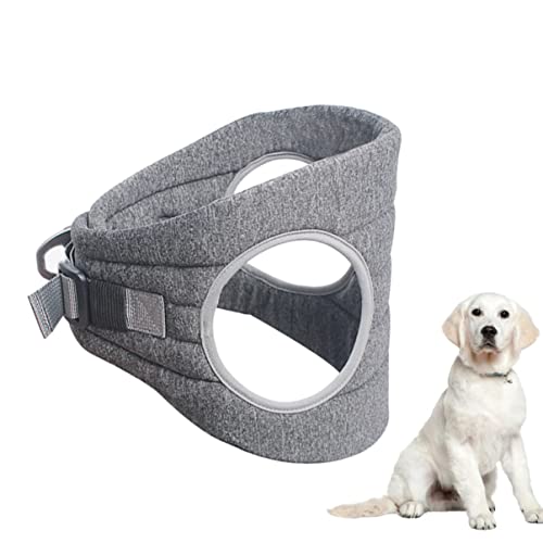 Mipcase Pet Vest Supplies Haustierweste Verstellbare Gurte Brustgurt Wickel Und Schnalle Für Den Ganzjährigen Gebrauch Bei Kleinen Hunden von Mipcase