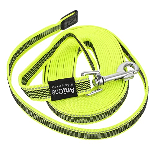 Mipcase Trainingsseil Für Hunde Professionelle Hundeleine Strickleinen Für Hunde Für Haustiere Seilleine Für Hunde Im Freien Hund Führt Led Große Hundeleine Nylon Draussen Mipcase Trainingsseil Für Hunde Professionelle Hundeleine Strickleinen Für Hunde Für Haustiere Seilleine Für Hunde Im Freien Hund Führt Led Große Hundeleine Nylon Draussen von Mipcase