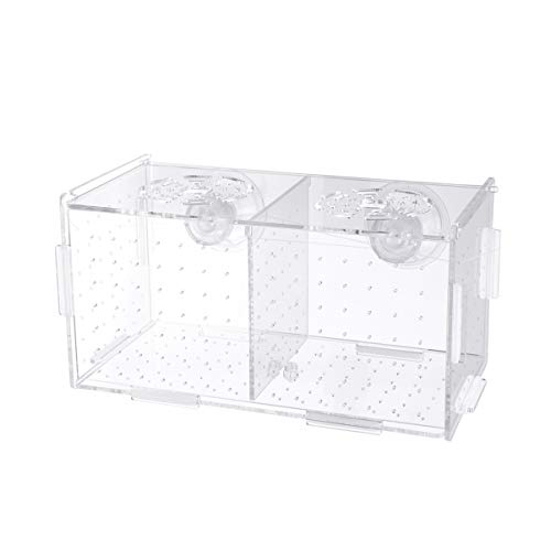 Mipcase Weiblicher Guppy Lebender Fisch Trennwand Für Aquarien Halter Für Aquarien Aquarium Brutkasten Für Fische Transparenter Züchterkoffer Hornwürmer Garnelenbecken Artemia Betta Fisch von Mipcase