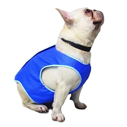 Mipcase Uv-Schutzhemd Für Hunde ßes Hundehemd Uv-Blockierende Hemden Kühlender Hundemantel Sonnenschutz Für Hunde Eishalskühler Für Heißes Wetter Leichte Kleidung Mipcase Uv-Schutzhemd Für Hunde ßes Hundehemd Uv-Blockierende Hemden Kühlender Hundemantel Sonnenschutz Für Hunde Eishalskühler Für Heißes Wetter Leichte Kleidung von Mipcase