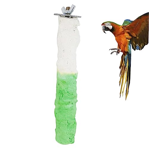 Mipcase Vogelhaustierständer Zubehör Für Vogelkäfige Nymphensittich Vogelkäfigbarsch Sittiche Sittich Vogelkäfig Vogel Stehender Stock Trainingsstand Für Haustiere Xuanfeng Bambus Papagei Mipcase Vogelhaustierständer Zubehör Für Vogelkäfige Nymphensittich Vogelkäfigbarsch Sittiche Sittich Vogelkäfig Vogel Stehender Stock Trainingsstand Für Haustiere Xuanfeng Bambus Papagei von Mipcase
