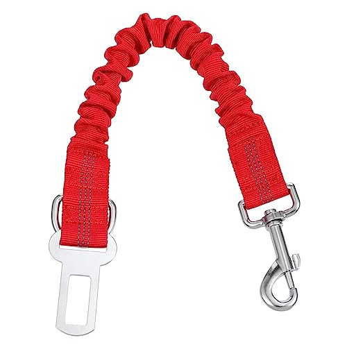 Mipcase Hundetrainingsleine Elastisches Seil Für Bequemes Reflektierendes Kabel Zum Anbinden Von Haustieren Mipcase Hundetrainingsleine Elastisches Seil Für Bequemes Reflektierendes Kabel Zum Anbinden Von Haustieren von Mipcase