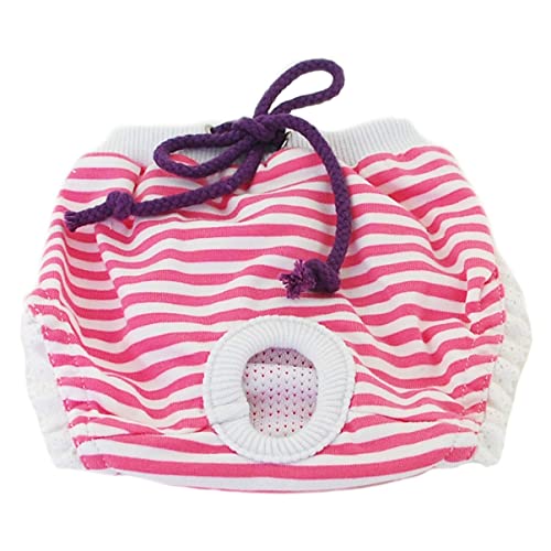 Mipcase Physiologische Hosen Für Haustiere Haustierwindelhose Wiederverwendbare Hundewindeln Hundephysiologische Hosen Hundehose Windel Für Hündin Hundemäntel Einweg Shirt Reine Baumwolle Mipcase Physiologische Hosen Für Haustiere Haustierwindelhose Wiederverwendbare Hundewindeln Hundephysiologische Hosen Hundehose Windel Für Hündin Hundemäntel Einweg Shirt Reine Baumwolle von Mipcase